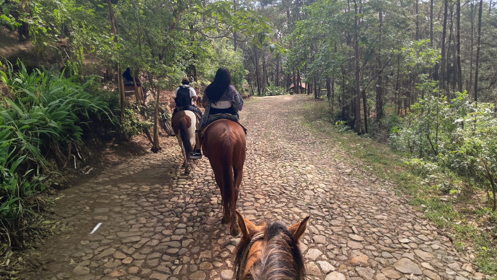 Tour_Paseo_Caballo_1HR