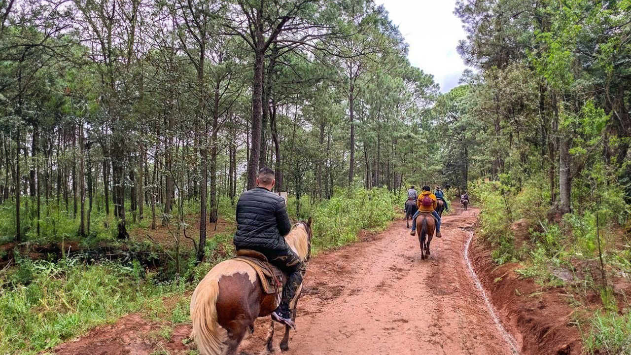 Tour_Paseo_Caballo_3HR